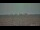 Webcam in Bokeelia, Florida, 55.7 mi away