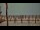 Webcam in Bokeelia, Florida, 29.1 km entfernt