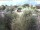 Webcam in Torbole (Lac de Garde), 0.3 km