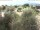 Webcam in Torbole (Lac de Garde), 0.3 km