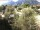 Webcam in Torbole (Gardasee), 10.6 km