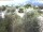 Webcam in Torbole (Gardasee), 0.4 km
