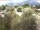 Webcam in Torbole (Lago de Garda), 9.8 km