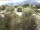 Webcam in Torbole (Lago de Garda), 2.5 km