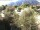 Webcam in Torbole (Gardasee), 0.2 km entfernt