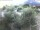 Webcam in Torbole (Lake Garda), 0.1 mi away