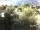 Webcam in Torbole (Lake Garda), 0.2 mi away