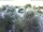 Webcam in Torbole (Lake Garda), 0.1 mi away