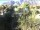 Webcam in Lago di Garda (Torbole), 0.3 km