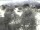 Webcam in Torbole (Gardasee), 0.2 km entfernt