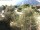 Webcam in Torbole (Gardasee), 1.4 km entfernt