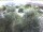 Webcam in Torbole (Gardasee), 0.3 km