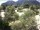 Webcam in Torbole (Lake Garda), 1.8 mi away