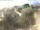 Webcam in Torbole (Gardasee), 0.4 km