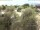 Webcam in Torbole (Lago de Garda), 0.6 km