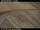 Webcam in Illiskuti, 181.7 mi away