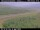 Webcam in Hámundarstaðaháls, 9.9 mi away
