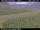 Webcam in Hámundarstaðaháls, 45.9 km entfernt