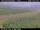 Webcam in Hámundarstaðaháls, 45.9 km entfernt