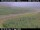 Webcam in Hámundarstaðaháls, 0 km