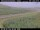 Webcam in Hámundarstaðaháls, 0 km
