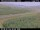 Webcam in Hámundarstaðaháls, 10.9 km entfernt