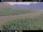 Webcam in Hámundarstaðaháls, 13.4 km