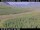 Webcam in Hámundarstaðaháls, 17.7 mi away
