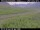 Webcam in Hámundarstaðaháls, 13.5 mi away