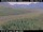 Webcam in Hámundarstaðaháls, 33.6 km entfernt