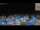 Webcam in Francavilla al Mare, 20.3 km