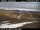 Webcam in Hálfdán, 5.5 mi away