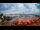 Webcam in Biograd na Moru, 2.5 mi away