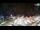 Webcam in Biograd na Moru, 7.9 mi away