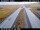 Webcam in Sandskeið, 5.4 mi away