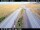 Webcam in Sandskeið, 6.8 mi away