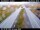Webcam in Sandskeið, 2.6 mi away