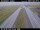 Webcam in Sandskeið, 9.8 mi away