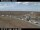 Webcam in Keflavík, 20.3 km entfernt