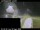 Webcam in Landvegamót, 24.9 mi away