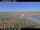 Webcam in Landvegamót, 49.7 km entfernt