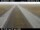 Webcam in Sandskeið, 25.3 km entfernt