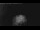 Webcam in Bad Frankenhausen, 13.3 km entfernt