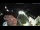 Webcam in Obervellach, 3.6 mi away