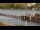 Webcam in Kiel, 7.7 km