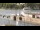 Webcam in Kiel, 27.3 km