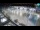 Webcam in Umag, 12.2 km