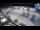 Webcam in Umag, 12.2 km