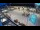 Webcam in Umag, 12.2 km