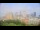 Webcam in Cleveland, Ohio, 141.8 km